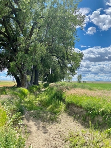 Little Bullwhacker Grazing & Milk River Montana Hay Base - image 17