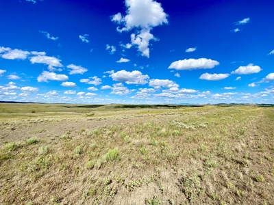 Little Bullwhacker Grazing & Milk River Montana Hay Base - image 9