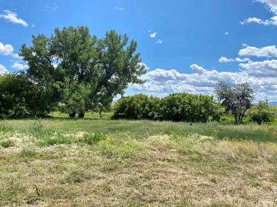 Little Bullwhacker Grazing & Milk River Montana Hay Base - image 32