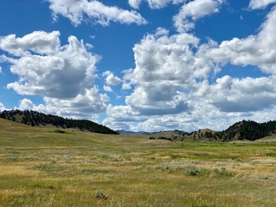 Little Bullwhacker Grazing & Milk River Montana Hay Base - image 3