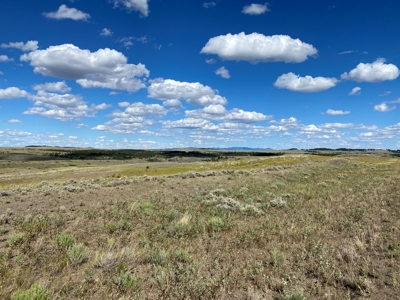 Little Bullwhacker Grazing & Milk River Montana Hay Base - image 4