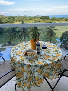 Beachfront Condo for Sale in Playa Blanca with Ocean Views - image 30