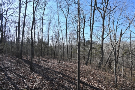 Tract 11 For Sale in Linden, Tennessee - image 3