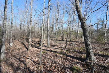 Tract 11 For Sale in Linden, Tennessee - image 1