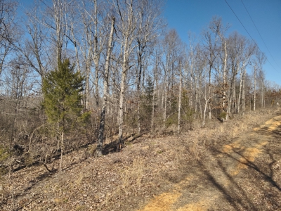 Tract 11 For Sale in Linden, Tennessee - image 10