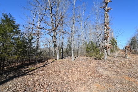 Tract 11 For Sale in Linden, Tennessee - image 9
