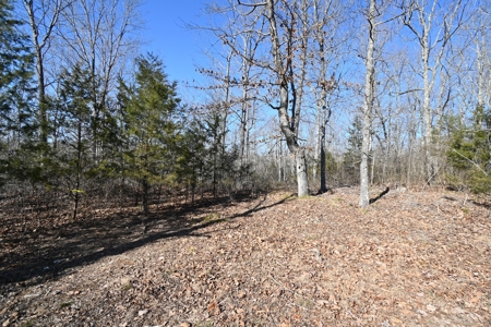 Tract 11 For Sale in Linden, Tennessee - image 8