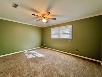 Slocomb Alabama Home for Sale - Corner Lot w/ barn - image 26