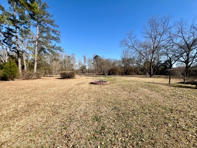 Slocomb Alabama Home for Sale - Corner Lot w/ barn - image 18