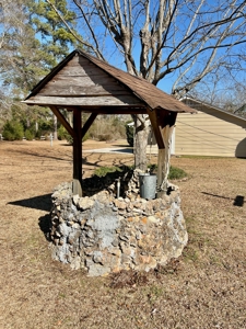 Slocomb Alabama Home for Sale - Corner Lot w/ barn - image 33