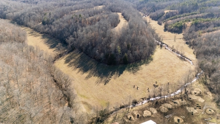 Multi-Family Estate and Land for Sale in Waynesboro, TN - image 4