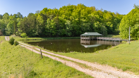 Multi-Family Estate and Land for Sale in Waynesboro, TN - image 43
