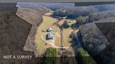 Multi-Family Estate and Land for Sale in Waynesboro, TN - image 1