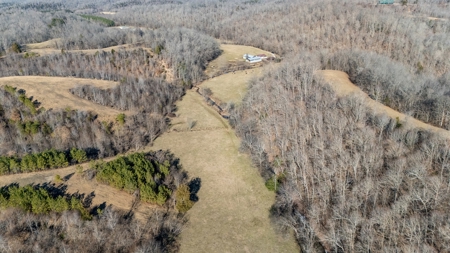 Multi-Family Estate and Land for Sale in Waynesboro, TN - image 6