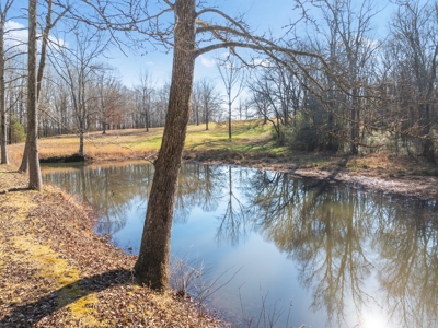 Secluded County Retreat for Sale in Henderson County, TN - image 40