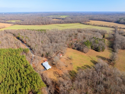 Secluded County Retreat for Sale in Henderson County, TN - image 44