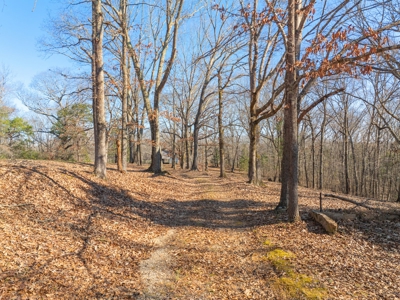 Secluded County Retreat for Sale in Henderson County, TN - image 33