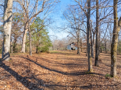 Secluded County Retreat for Sale in Henderson County, TN - image 34