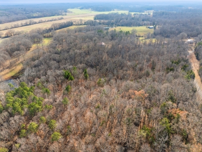 Secluded County Retreat for Sale in Henderson County, TN - image 49