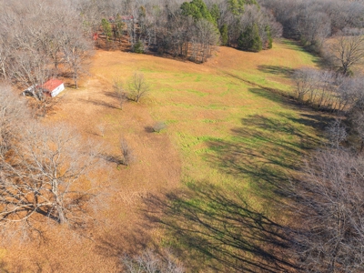 Secluded County Retreat for Sale in Henderson County, TN - image 50