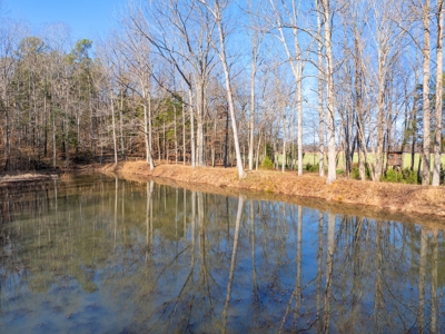 Secluded County Retreat for Sale in Henderson County, TN - image 39