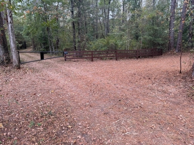 Land on the Tangipahoa River in Pike County, MS - image 2
