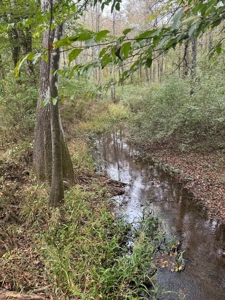 Land on the Tangipahoa River in Pike County, MS - image 7
