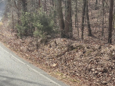 Land For Sale in Catoosa County! - image 3