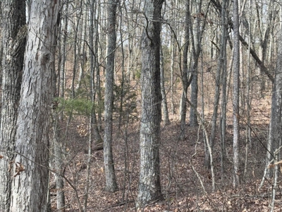 Land For Sale in Catoosa County! - image 2