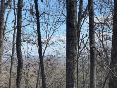Land For Sale in Catoosa County! - image 4