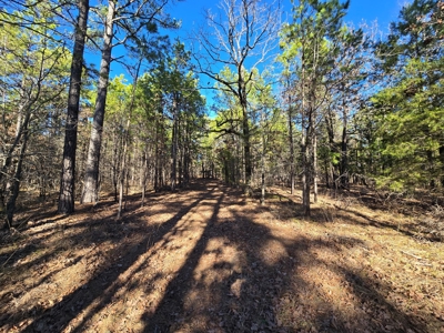 Income Producing Cabin Adjoining National Forest - image 24