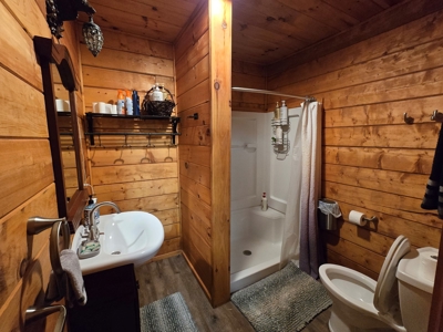 Income Producing Cabin Adjoining National Forest - image 41