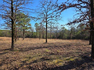 Income Producing Cabin Adjoining National Forest - image 27