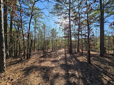 Income Producing Cabin Adjoining National Forest - image 25