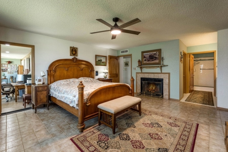 Equestrian Estate for Sale in Chaparral, NM - image 19