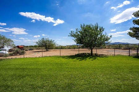 Equestrian Estate for Sale in Chaparral, NM - image 28