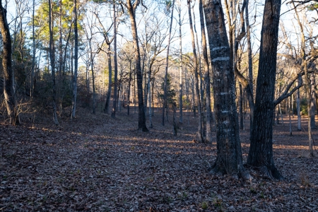 TX Recreational Ranch on Sabine River Gladewater in Smith Co - image 36
