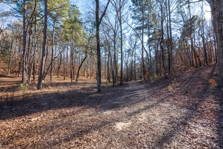 TX Recreational Ranch on Sabine River Gladewater in Smith Co - image 10