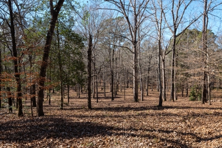 TX Recreational Ranch on Sabine River Gladewater in Smith Co - image 47
