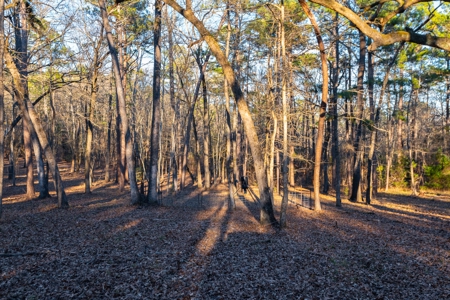 TX Recreational Ranch on Sabine River Gladewater in Smith Co - image 37