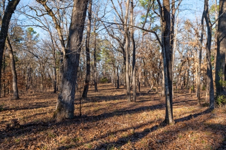 TX Recreational Ranch on Sabine River Gladewater in Smith Co - image 13
