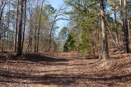 TX Recreational Ranch on Sabine River Gladewater in Smith Co - image 48
