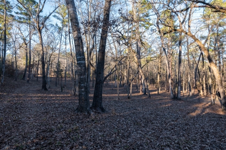 TX Recreational Ranch on Sabine River Gladewater in Smith Co - image 35