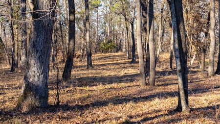 TX Recreational Ranch on Sabine River Gladewater in Smith Co - image 42