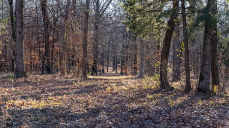 TX Recreational Ranch on Sabine River Gladewater in Smith Co - image 41