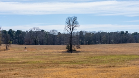 TX Recreational Ranch on Sabine River Gladewater in Smith Co - image 9