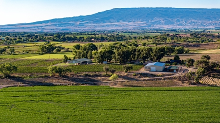 Berkeley Estate Cellars – A Premier Colorado Winery - image 1