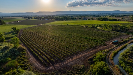 Berkeley Estate Cellars – A Premier Colorado Winery - image 50