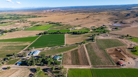 Berkeley Estate Cellars – A Premier Colorado Winery - image 40