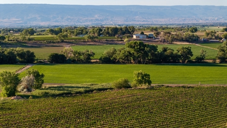 Berkeley Estate Cellars – A Premier Colorado Winery - image 48